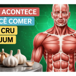 O que acontece se você comer alho cru em Jejum
